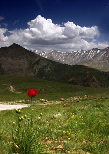damavand-iran_mountain