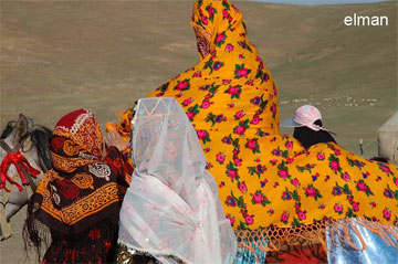 wedding iran nomads