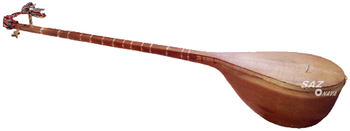 dotar iran music instrument