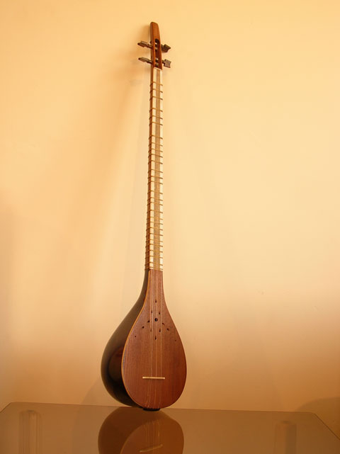 setar iran music instrument