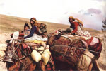 afshar nomads iran 